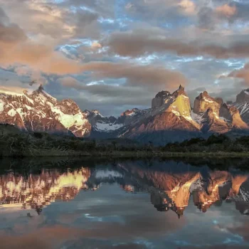 1200-x-500-paine-1 1200-x-500-paine-1