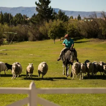 Estancia-25-de-mayo-3 Estancia-25-de-mayo-3