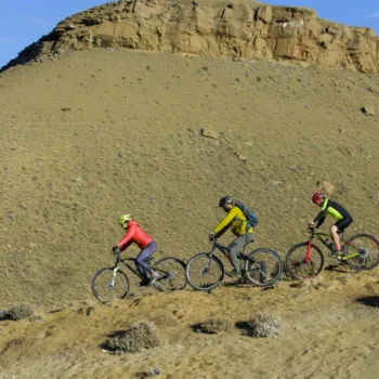 SAFARI-BIKE-EXPERIENCE-3 SAFARI-BIKE-EXPERIENCE-3