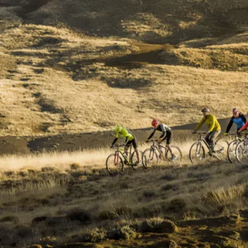 SAFARI-BIKE-EXPERIENCE excursion safari bike experience