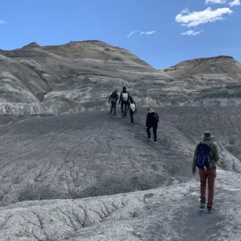 bosque-petrificado-5 bosque-petrificado-5