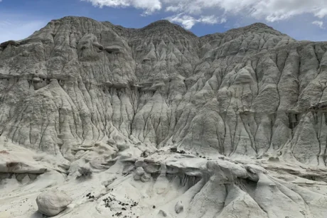Bosque Petrificado - Tour en El Calafate, Patagonia Argentina
