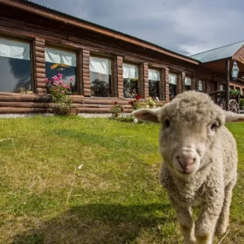 estancia25demayo estancia25demayo