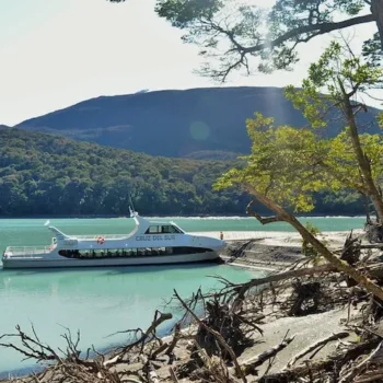 mayospirittrek mayospirittrek