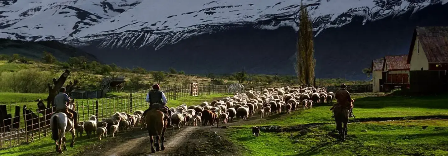 Tour exclusivo a la histórica Estancia Nibepo Aike, ideal para los amantes de la naturaleza