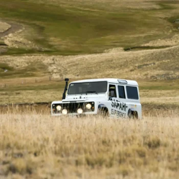 safari-experience-2-1024x1024-1 safari-experience-2-1024x1024-1