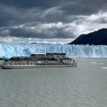 safari-azul-el-calafate excursion safari azul