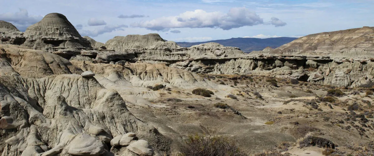 Troncos de árboles petrificados de 70 millones de años en el Bosque Petrificado La Leona, Patagonia