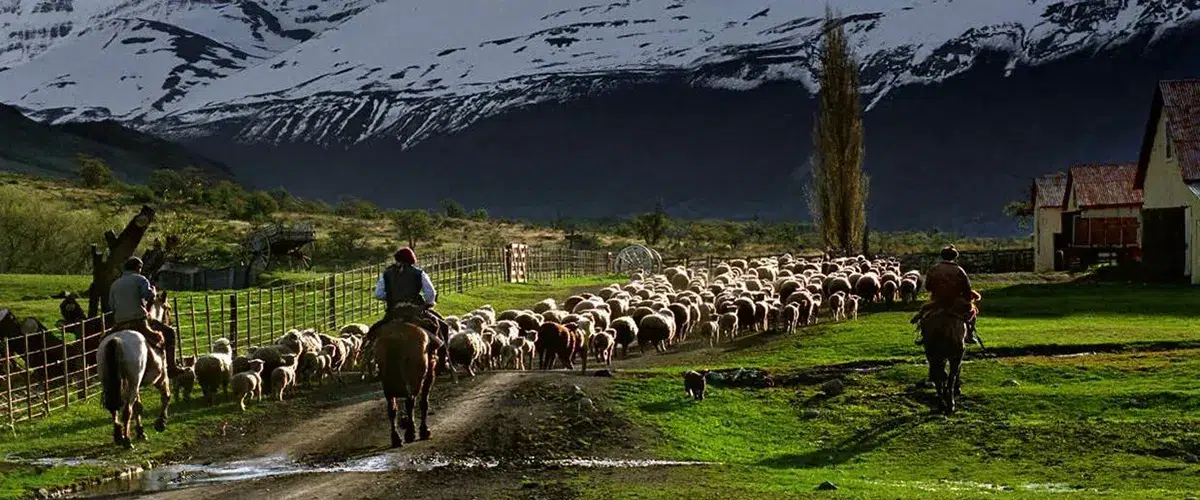 Asado de cordero patagónico al asador en Estancia Nibepo Aike con vista a la estepa y montañas