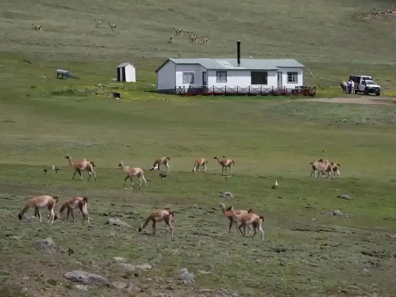 Video de la Cabalgata Experience por la estepa y el cañadón del arroyo Calafate