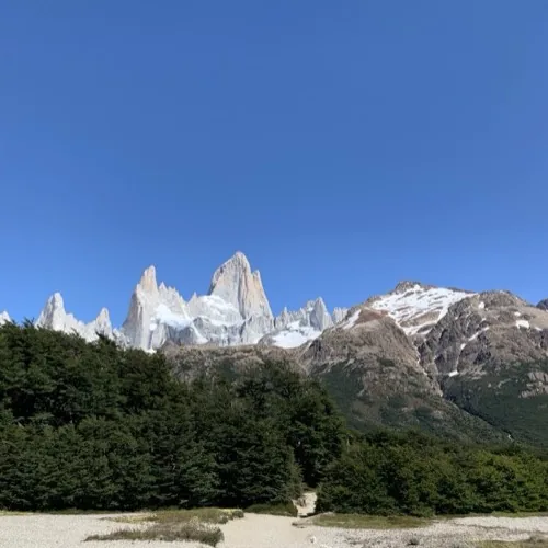 Cordón del Fitz Roy visto desde el sendero a Laguna de los Tres, con bosque de lengas en primer plano.