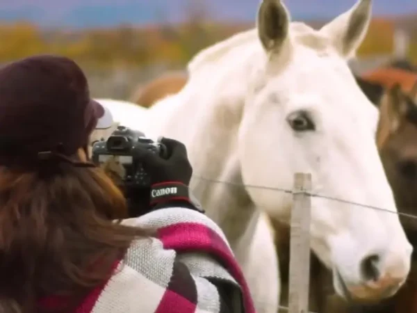 Video de la Estancia Nibepo Aike y la vida rural patagónica